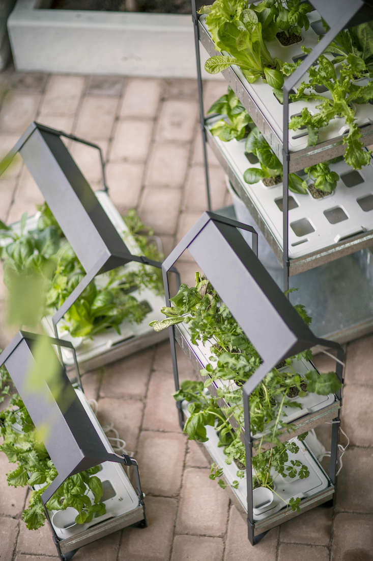 New from Ikea: A Hydroponic Countertop Garden Kit - Gardenista