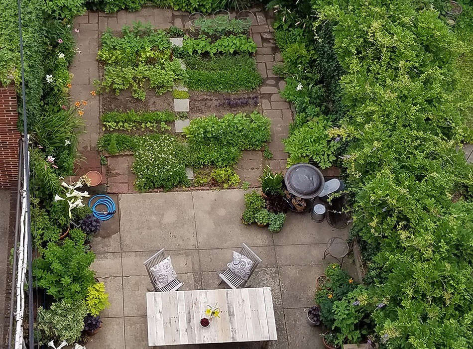 Rehab Diary: A Year in the Life of a Brooklyn Garden - Gardenista