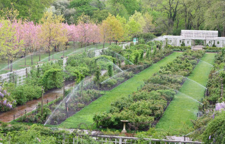 Insider's Tour: Secrets of the Brooklyn Botanic Garden - Gardenista