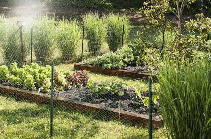 Hardscaping 101: Edible Gardens - Gardenista