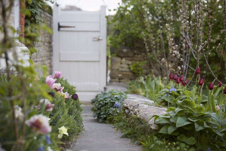 Garden Visit: The Tulips of Hawthorn Cottage - Gardenista