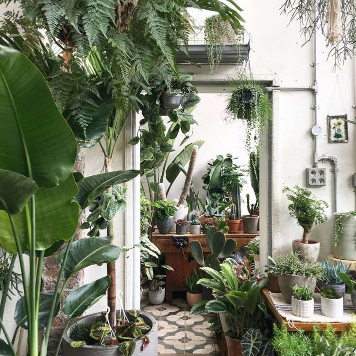 Shopper's Diary: Conservatory Archives in East London - Gardenista