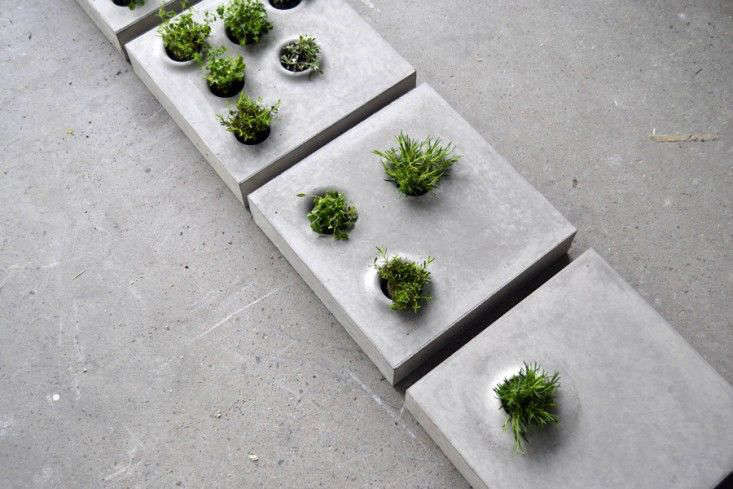 From Gray to Green: Pavers with Plants from Stockholm - Gardenista