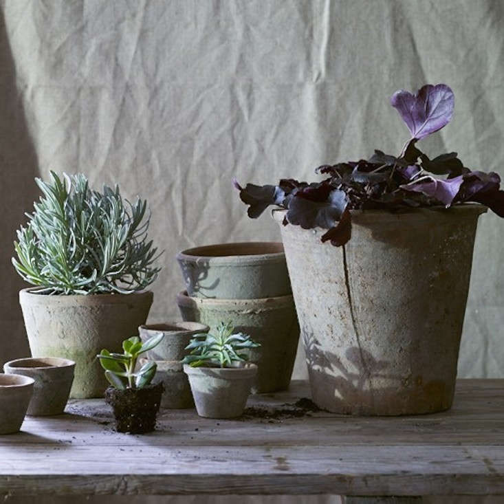 10 Easy Pieces: Mossy Terra Cotta Pots and Planters - Gardenista