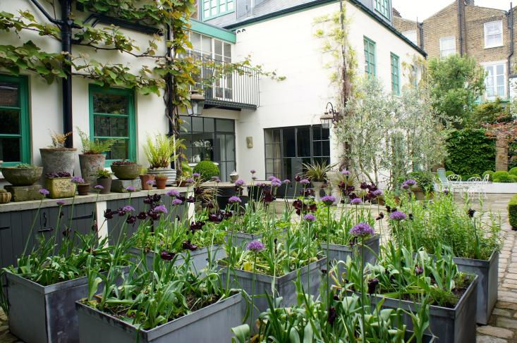 A Purple and Green Planting Scheme: Neisha Crosland's Spring Garden - Gardenista