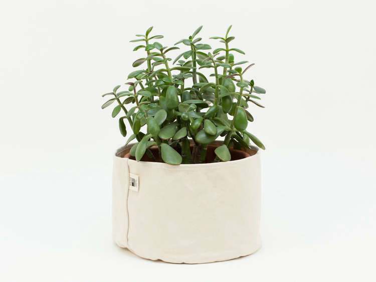 Object of Desire: Canvas Planter Set - Gardenista