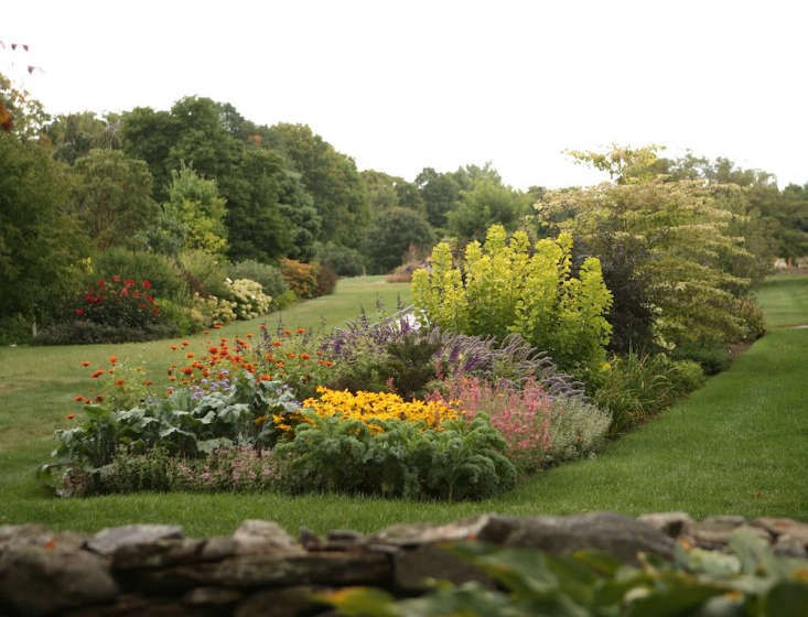 Flower Borders: 10 Essential Tips from White Flower Farm's Barb Pierson - Gardenista