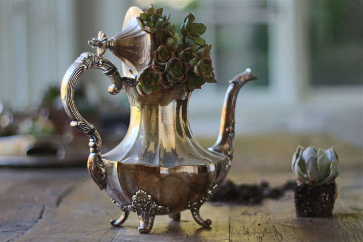 Succulents for Two: A Tarnished Tea Party - Gardenista