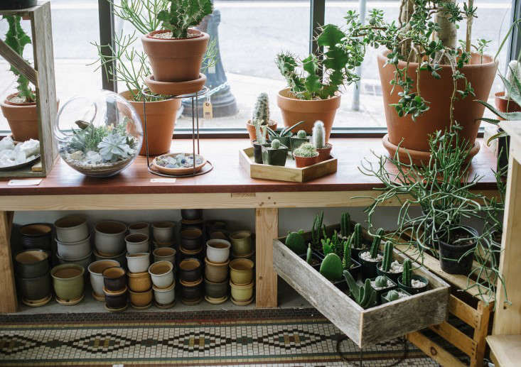 Shopper’s Diary: A Drugstore-Vintage Vibe at Solabee Flowers in Portland - Gardenista