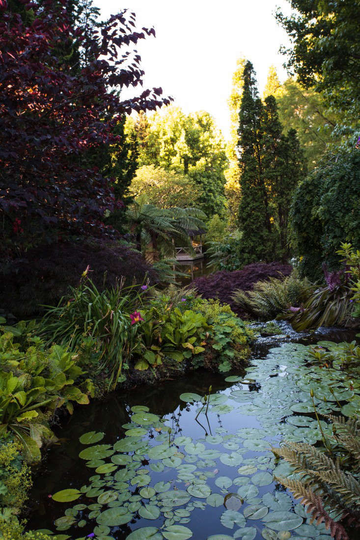 Garden Visit: Beverley McConnell's 12 Acres of Eden - Gardenista