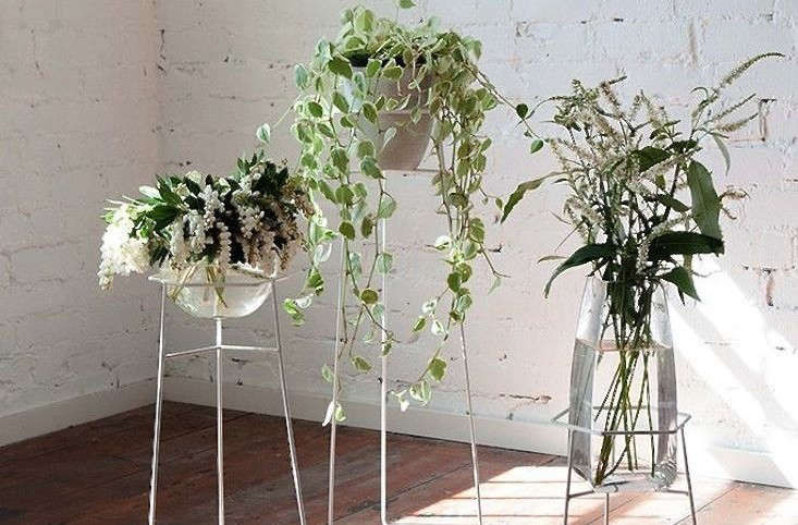 A Bewitching Trio of Wire Plant Stands - Gardenista