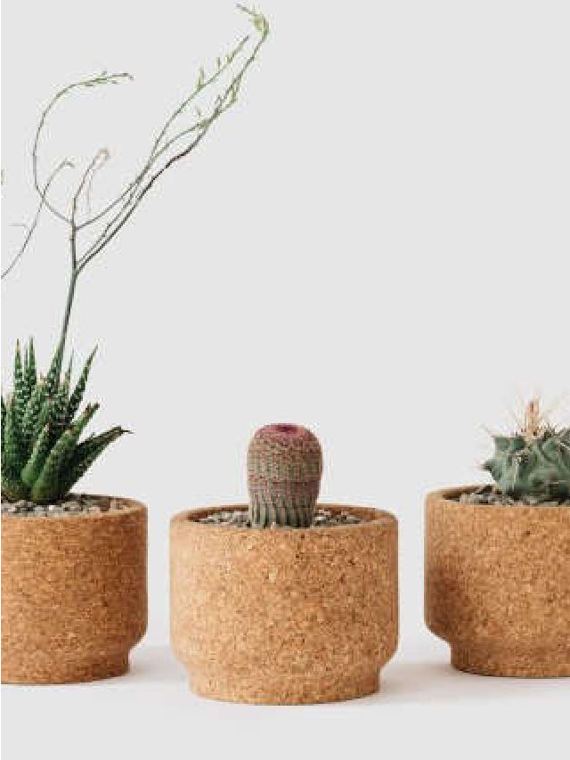 Miracle Cork: Melanie Abrantes' Pots and Planters - Gardenista Web ...