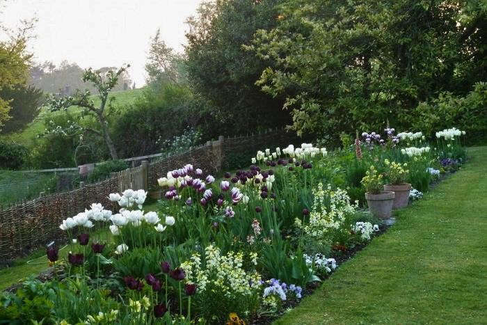 Expert Advice from Old House Gardens: 10 Ideas for Planning a Spring Bulb Garden - Gardenista