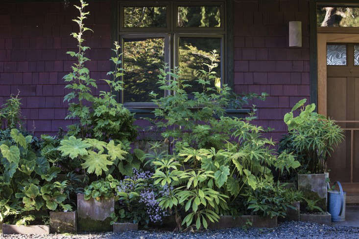 Garden Design: Dan Hinkley at Home on Puget Sound - Gardenista