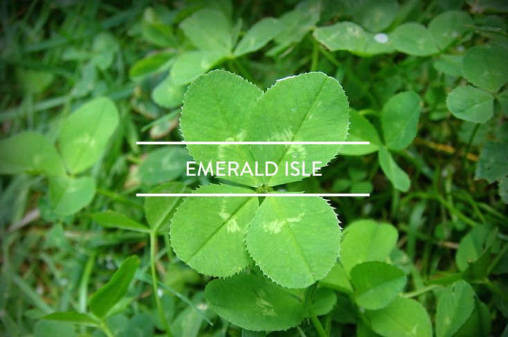 TableofContents:EmeraldIsle-Gardenista