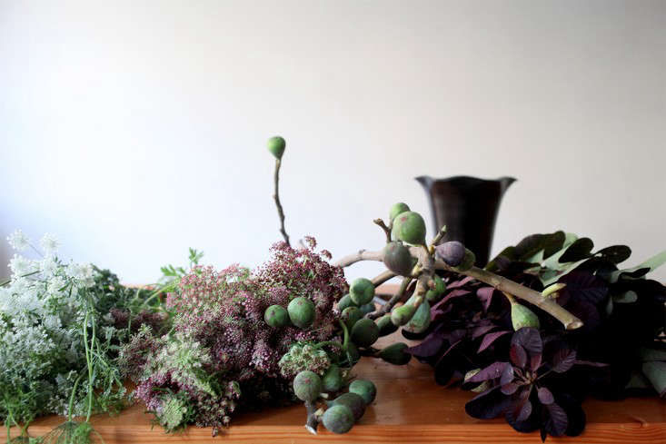 DIY Floral Arrangement: Smoke Bush and Queen Anne's Lace - Gardenista
