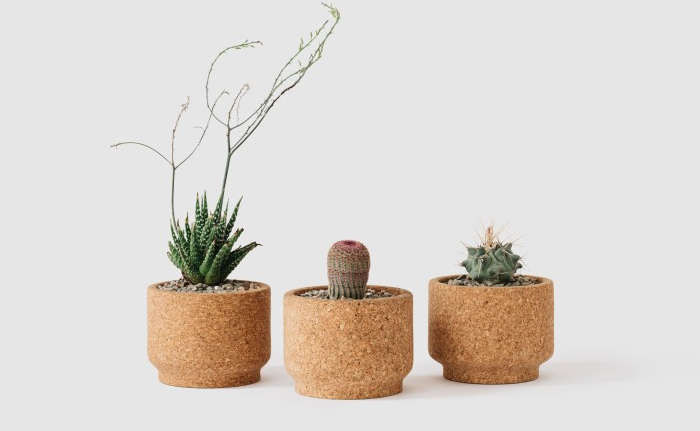 Miracle Cork: Melanie Abrantes' Pots and Planters - Gardenista