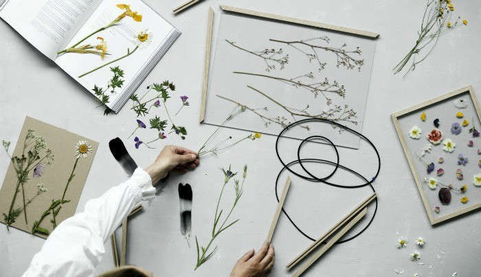 DIY Pressed Flowers: No Fuss Art Frames from Copenhagen - Gardenista