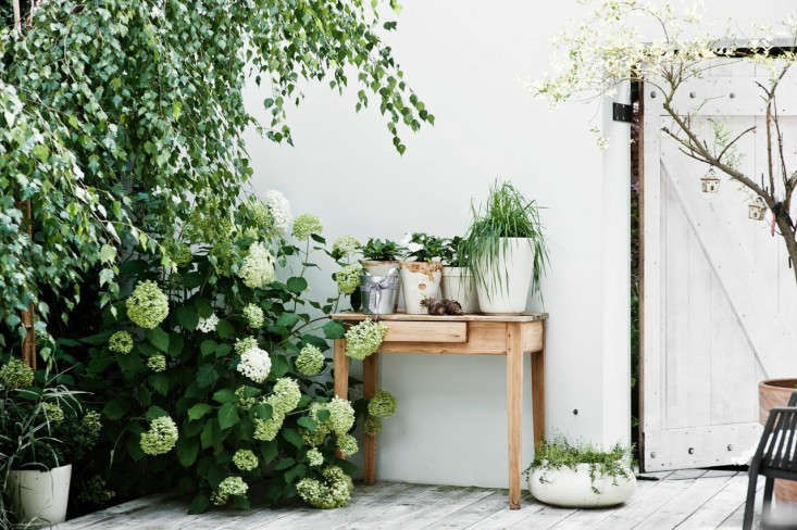 TrendingonRemodelista:CitySummer-Gardenista