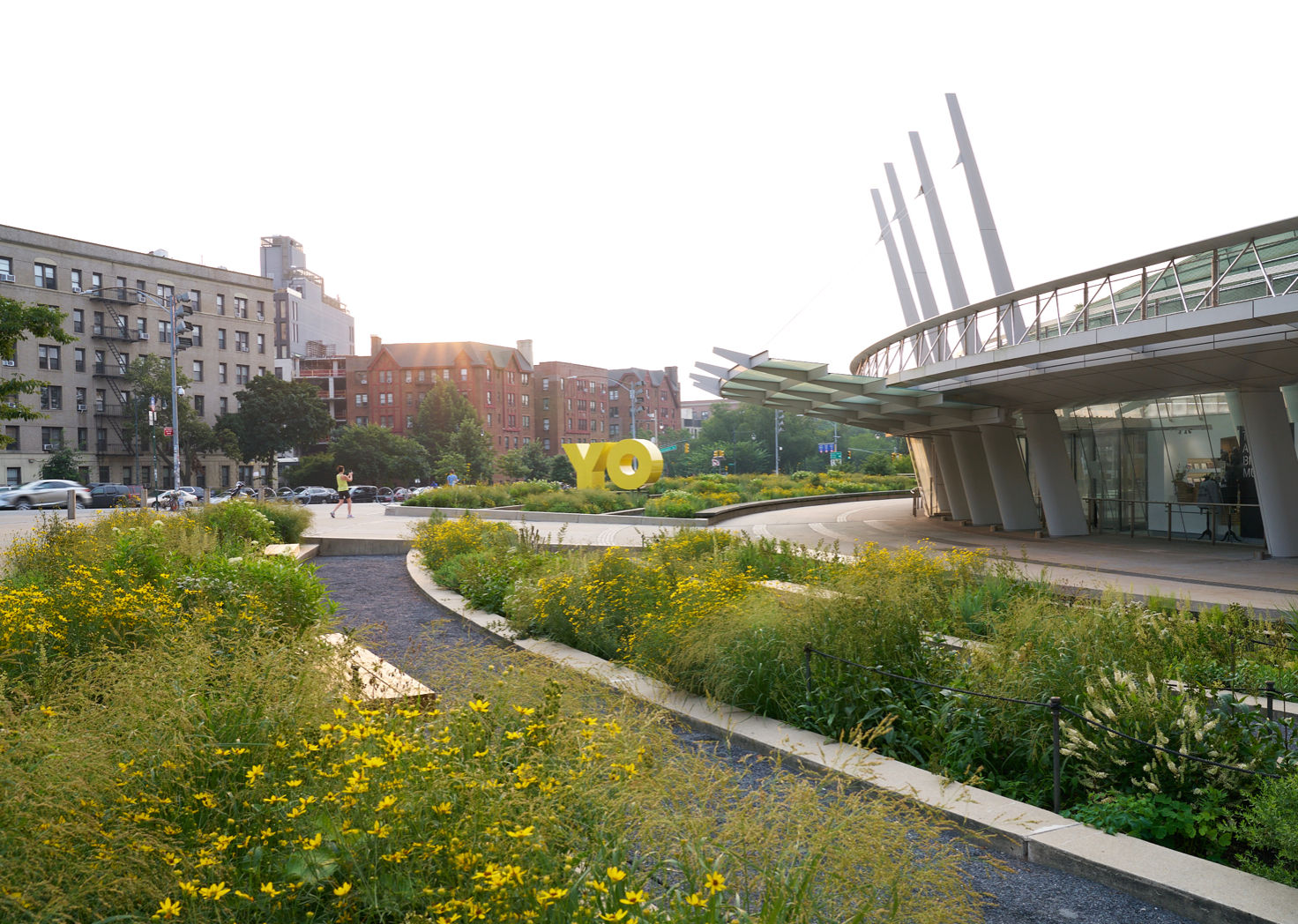 New Wildflower Meadow at the Brooklyn Museum Entrance