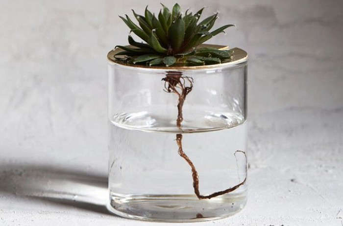 Terrarium Trend Alert: Glass, with Brassy Highlights - Gardenista