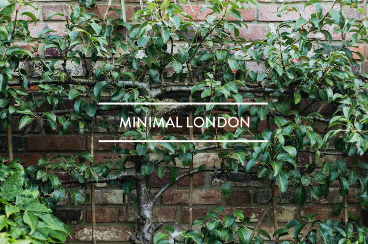 TableofContents:MinimalLondon-Gardenista