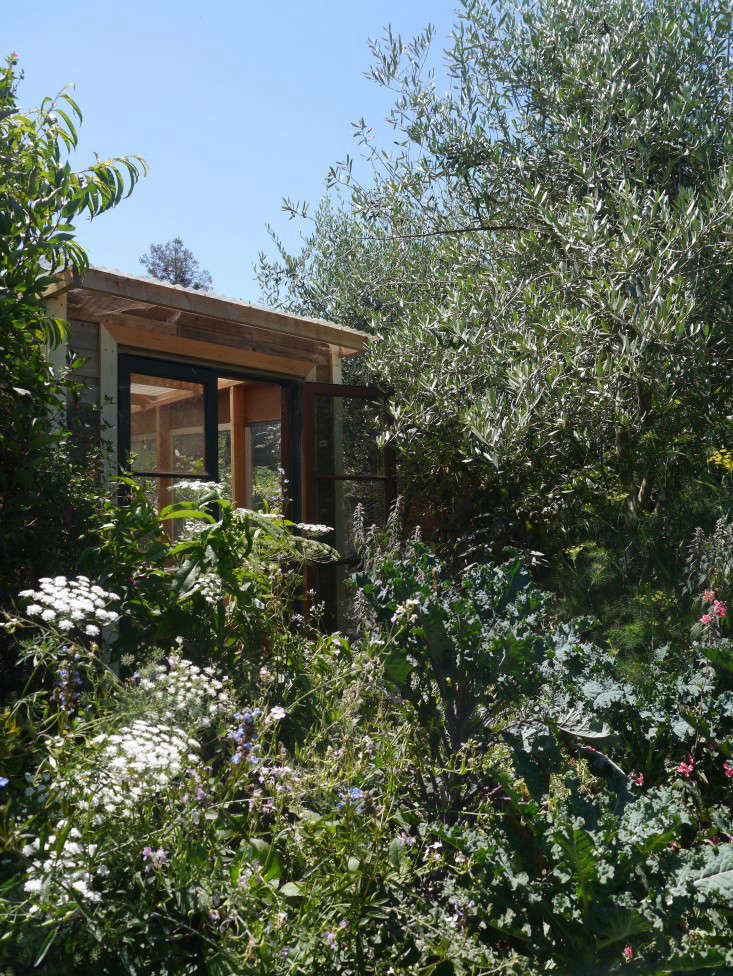 Garden Visit: A Wild Secret in the Heart of Temescal - Gardenista