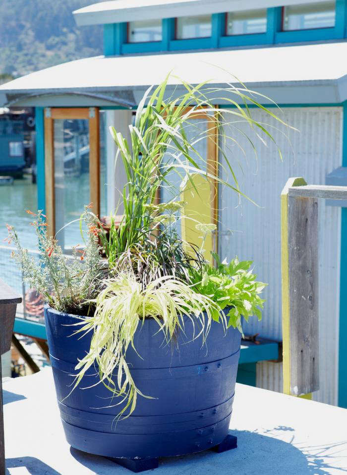 DIY: Cobalt Blue Planters (Houseboat Optional) - Gardenista