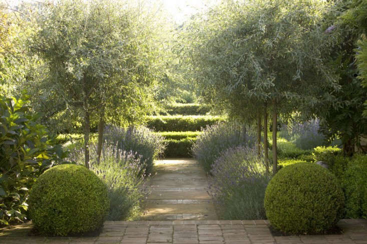 Garden Designer Visit: Lavender Fields in Australia - Gardenista