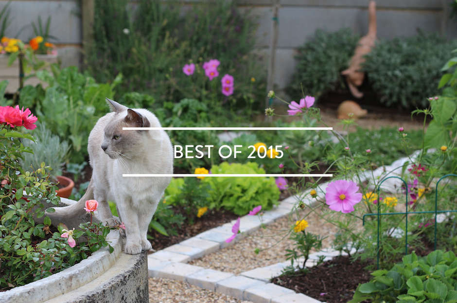 Table of Contents: Best of 2015 - Gardenista