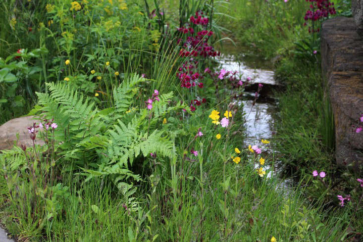 10GardenIdeastoStealfromthe2015ChelseaFlowerShowWinner-Gardenista