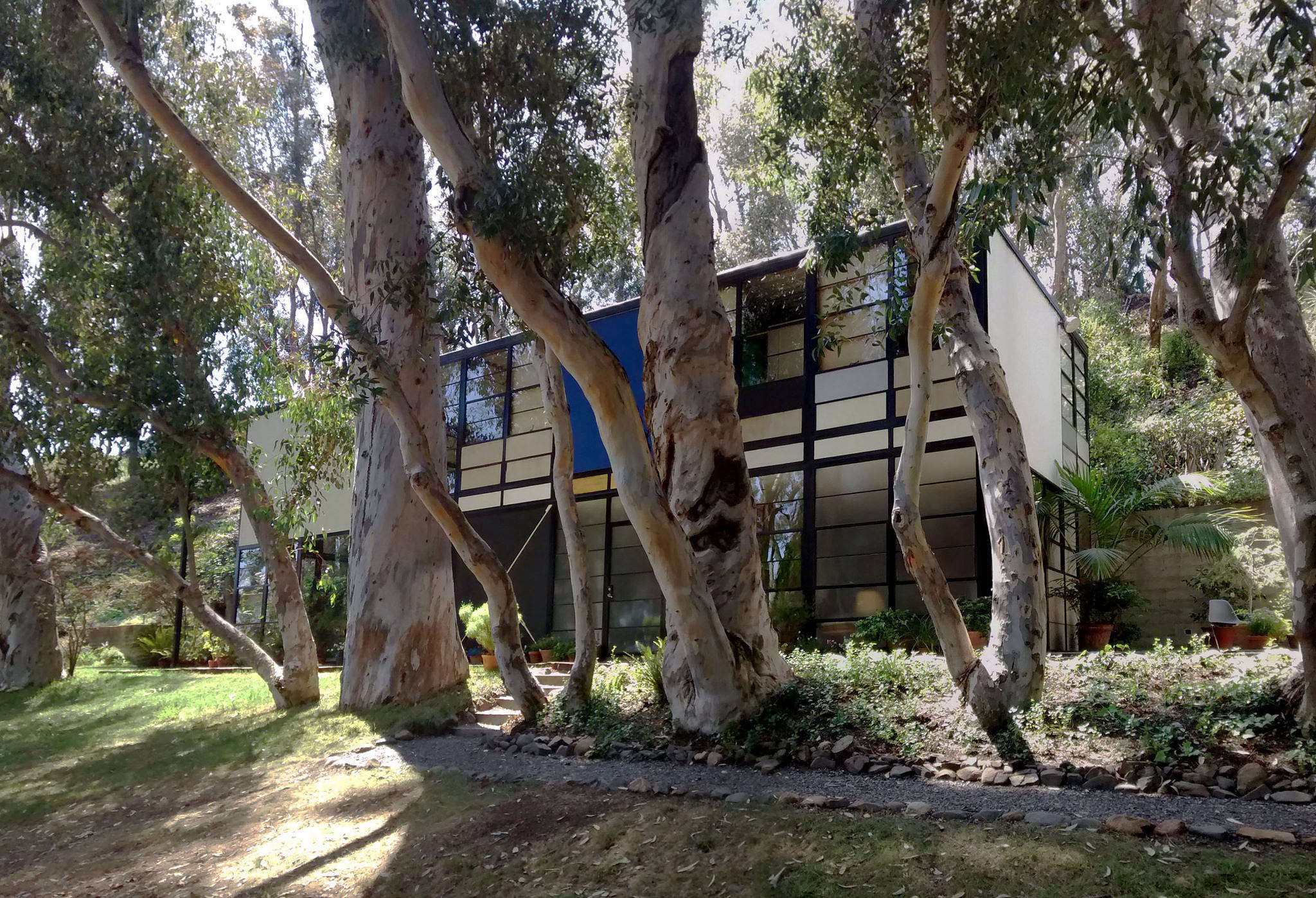 A Modern Garden: At Home with Charles and Ray Eames in California - Gardenista