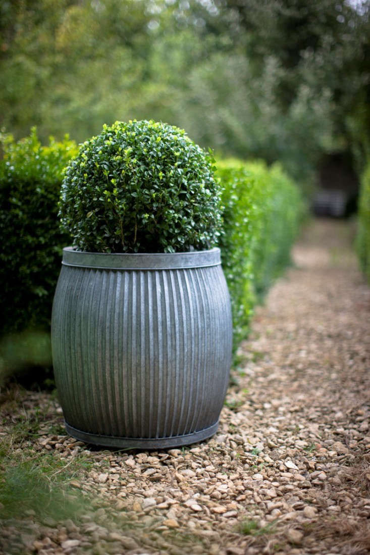 10EasyPieces:ZincBarrelPlanters-Gardenista