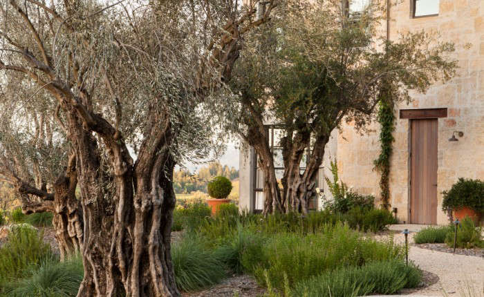 TrendingonRemodelista:CaliforniaCool-Gardenista