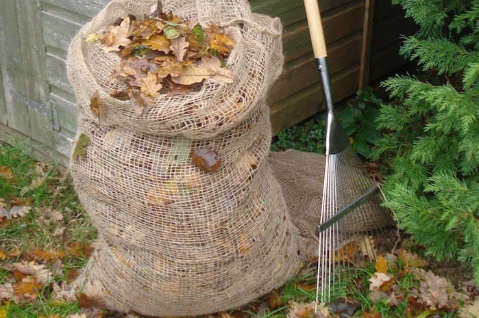 10 Easy Pieces: Leaf and Garden Rakes - Gardenista