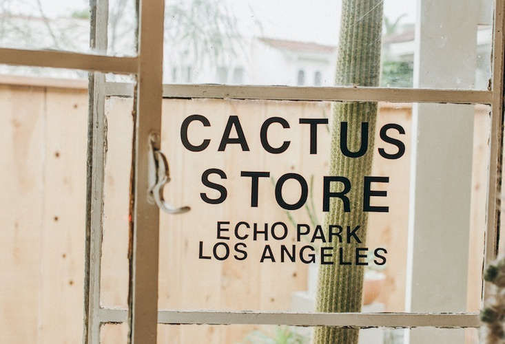 Shopper's Diary: Cactus Store in Los Angeles - Gardenista