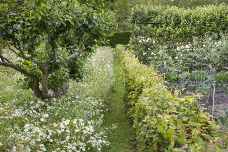 Garden Visit: The Unique Charm of Glyndebourne in Sussex - Gardenista