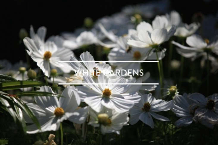 TableofContents:WhiteGardens-Gardenista