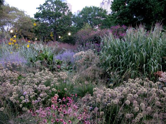 Container Gardening - Bosque