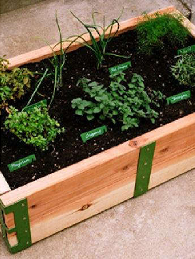 DIY: Raised Bed Garden Kit - Gardenista Web Story - Gardenista