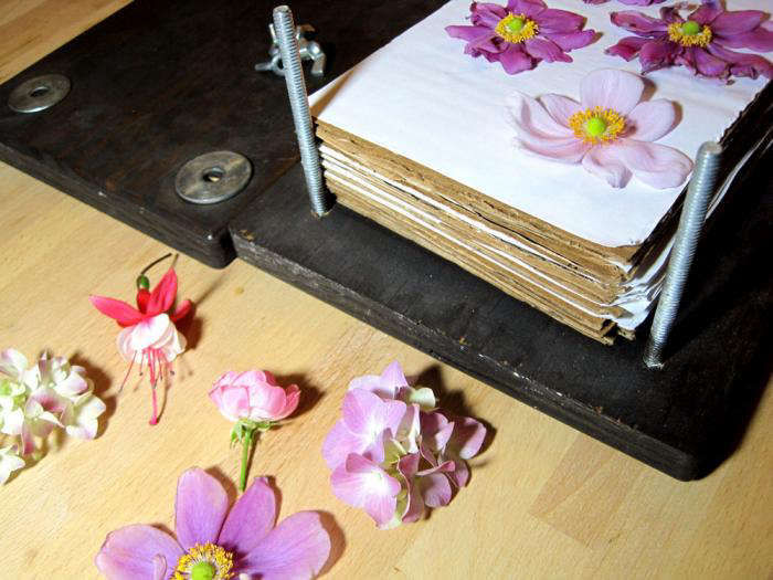 DIY:FlowerPress-Gardenista