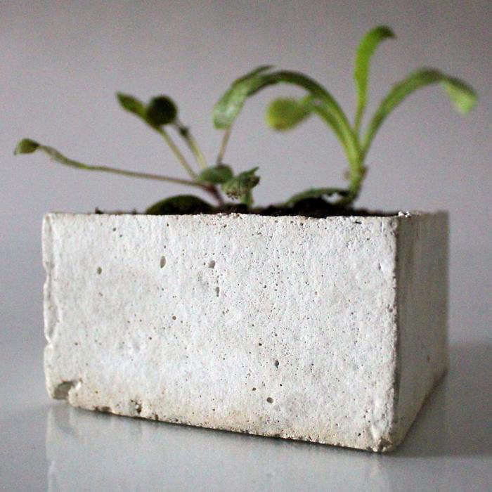 All-in-One:ConcreteGardeninaBox-Gardenista