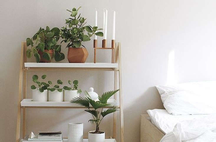 10EasyPieces:StepladderPlantStands-Gardenista