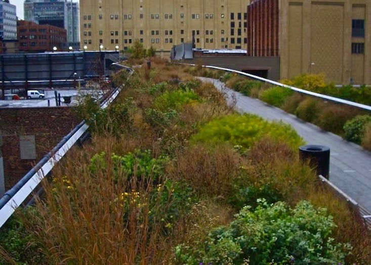 SecretstoSurvivingaHurricane:NYC'sHighLinePark-Gardenista