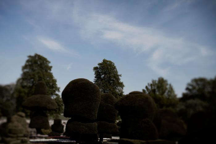 Topiary:CloudPruningasArborealArt-Gardenista