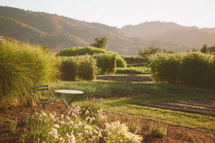 GardenVisit:TheFrenchLaundryinCalifornia'sNapaValley-Gardenista