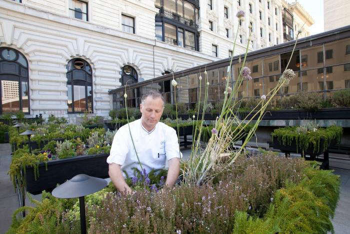 AChef'sSecretRoofGarden:TheFairmontHotel-Gardenista