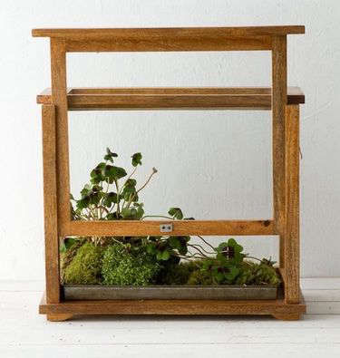 10EasyPieces:WardianCases-Gardenista