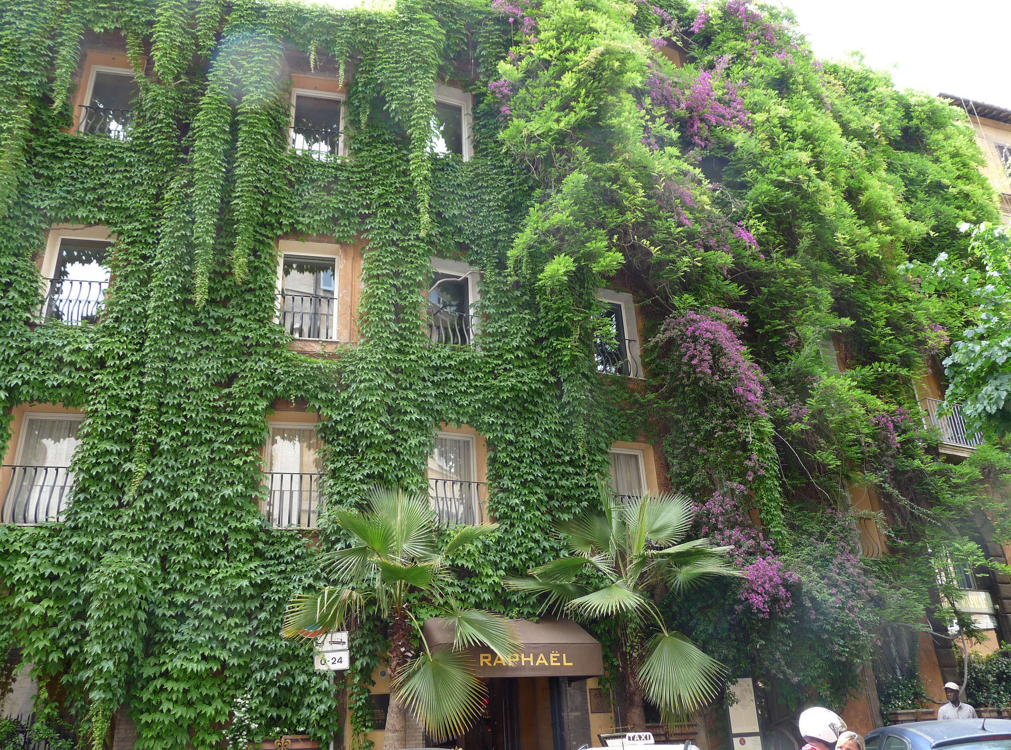 TheOriginalVerticalGarden:HotelRaphaelinRome-Gardenista