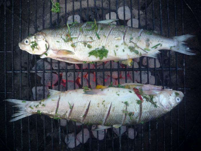 TheSecrettoPerfectGrilledFish-Gardenista